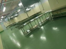 Tuas South Street 11 (D22), Factory #566796391